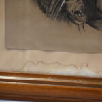 888117542-3.jpg
