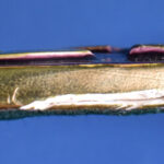 910685427-2.jpg