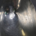 993417660-7.jpg