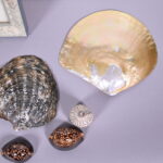 1553558457-3.jpg