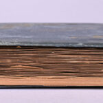 1556934542-11.jpg
