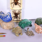 161423580-5.jpg