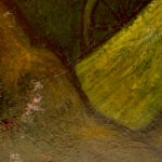 1286622182-1.jpg