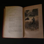 1534654777-10.jpg