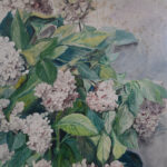 1818885477-6.jpg