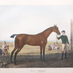 309900498-2.jpg