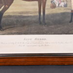 309900498-3.jpg