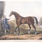 309900498-6.jpg