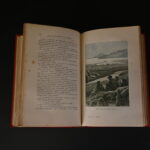 333698349-7.jpg