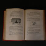 44684212-9.jpg