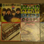 484802132-2.jpg
