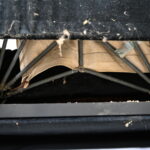 676816836-17.jpg
