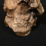 781726132-5.jpg