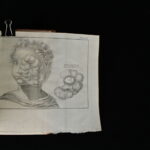 1329539753-14.jpg