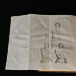 1329539753-3.jpg
