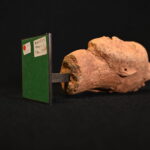 1622994363-10.jpg