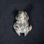 1666391543-5.jpg