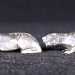 2087444339-2.jpg