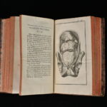 39133982-10.jpg