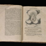 39133982-6.jpg
