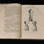 39133982-7.jpg