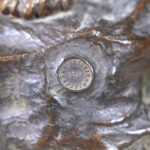 495325411-11.jpg