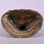 543081019-5.jpg