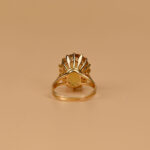 653117893-1.jpg