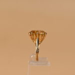 653117893-3.jpg
