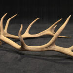 790413340-2.jpg