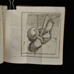 973661501-18.jpg
