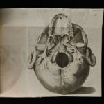 973661501-3.jpg