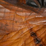 1802897626-4.jpg