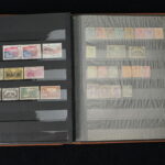 246267539-15.jpg