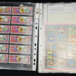 246267539-20.jpg