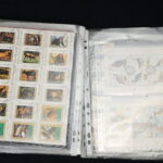 246267539-24.jpg