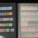246267539-7.jpg
