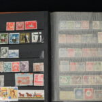 246267539-8.jpg