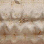 272301569-4.jpg