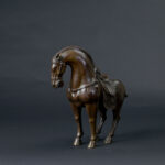 509876709-5.jpg