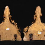 1664914368-2.jpg