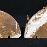 1664914368-4.jpg