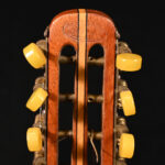 61376999-10.jpg