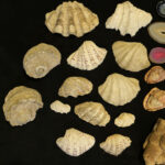 1782719534-1.jpg