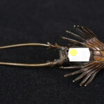 416124629-4.jpg