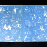 154150145-6.jpg