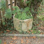 1749257424-12.jpg