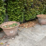 1749257424-16.jpg