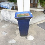 1749257424-5.jpg