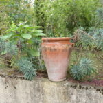 1749257424-6.jpg